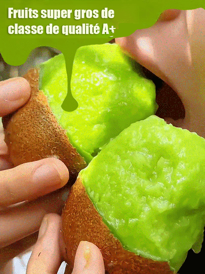 【Augmenter la puissance masculine】Plantules de kiwi biologique de Nouvelle-Zélande