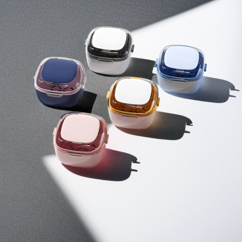 Sealed Double-layer Denture Cleaning Storage Box