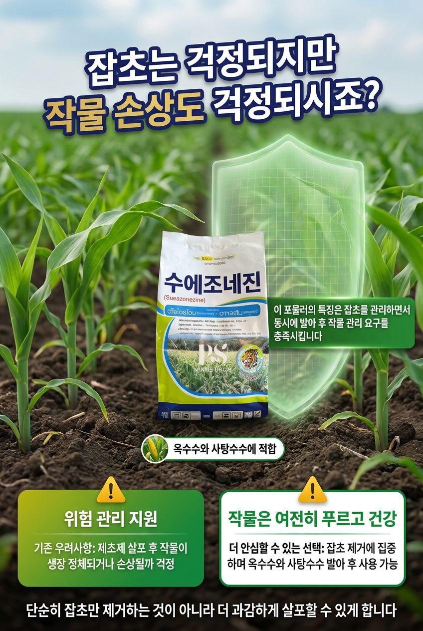 韩国本地化落地页6.jpg