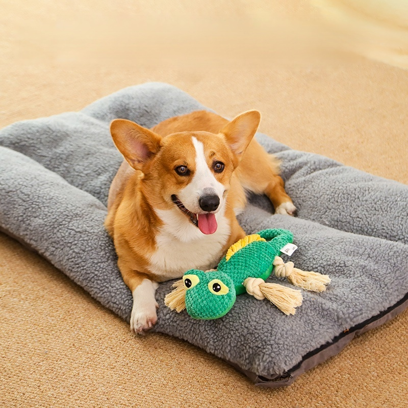 噛んでも壊れにくい犬用おもちゃ