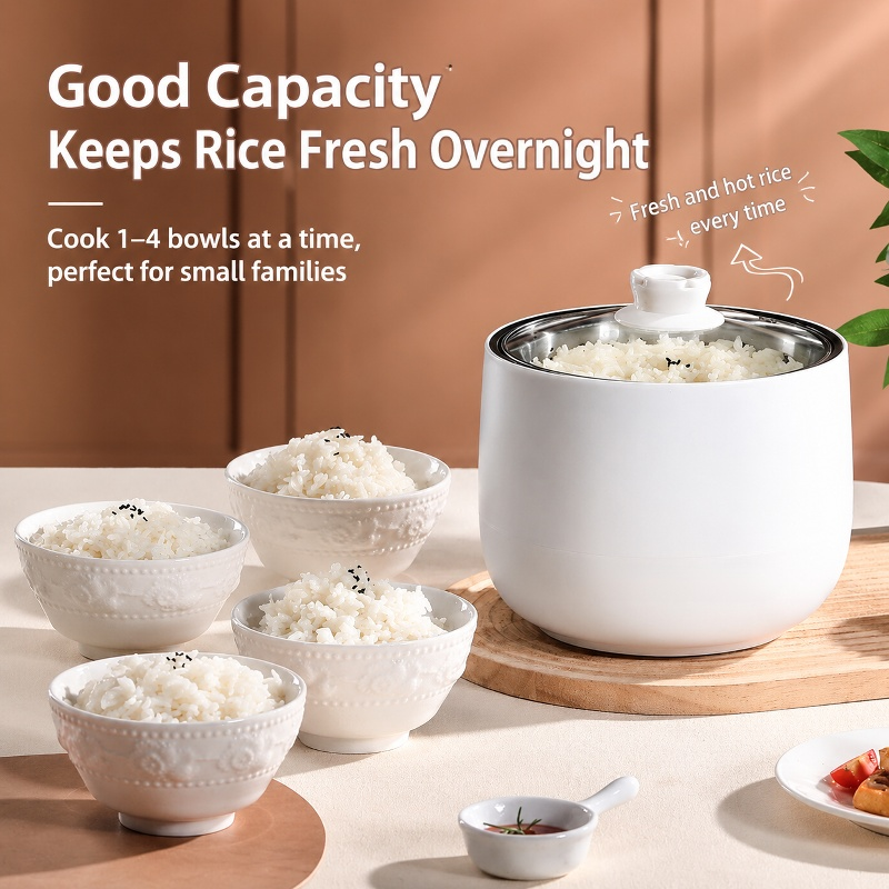 Mini Rice Cooker