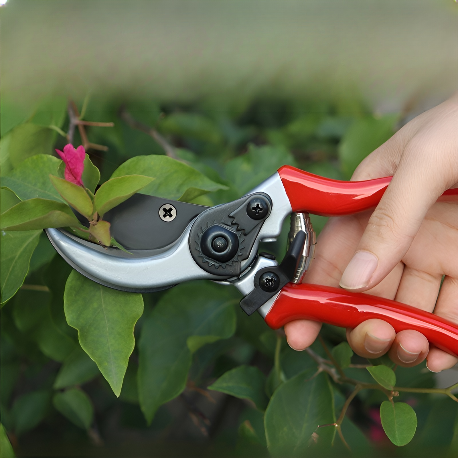 Garten-Astschere für Obstbäume, robuste Baumschere