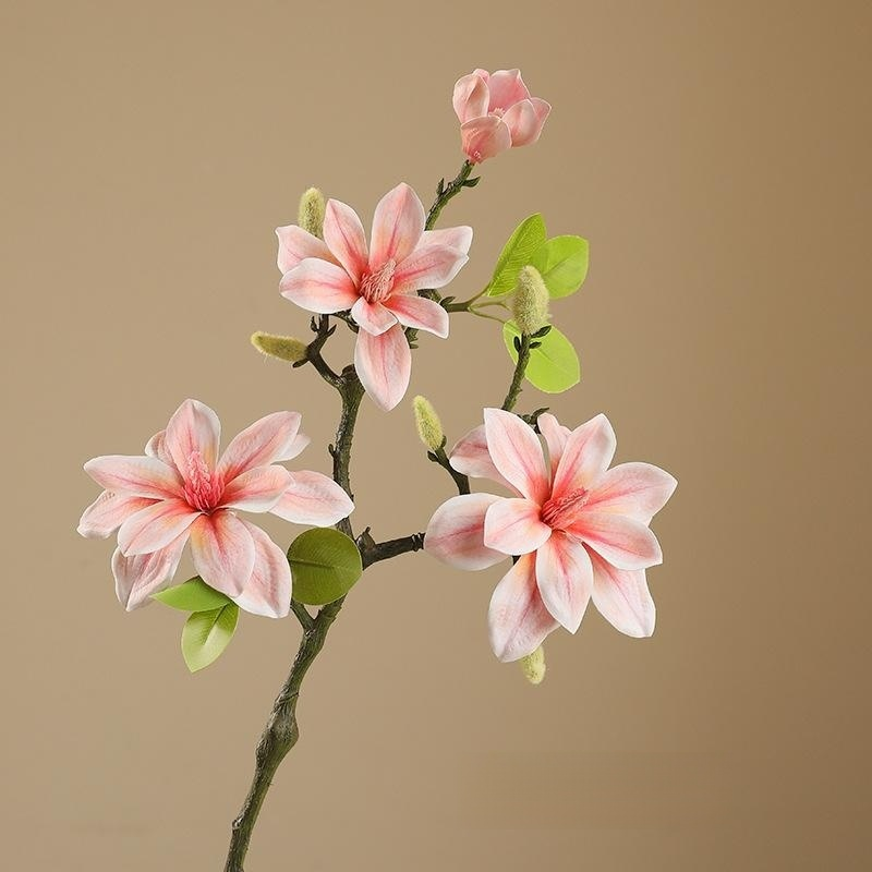 Magnolia artificiel