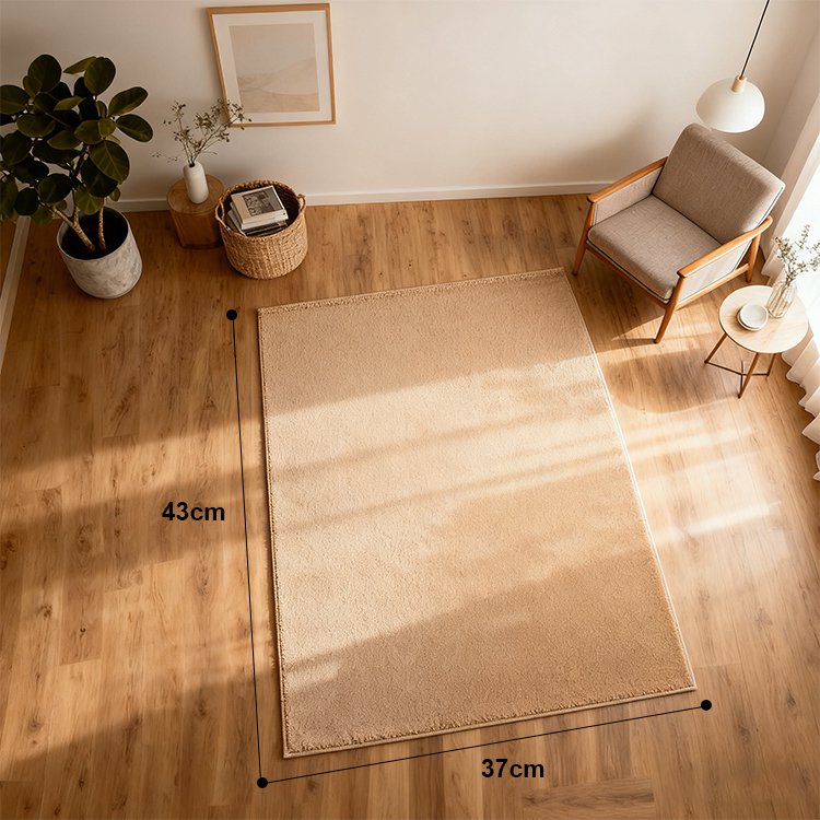 모던 디자인 카펫