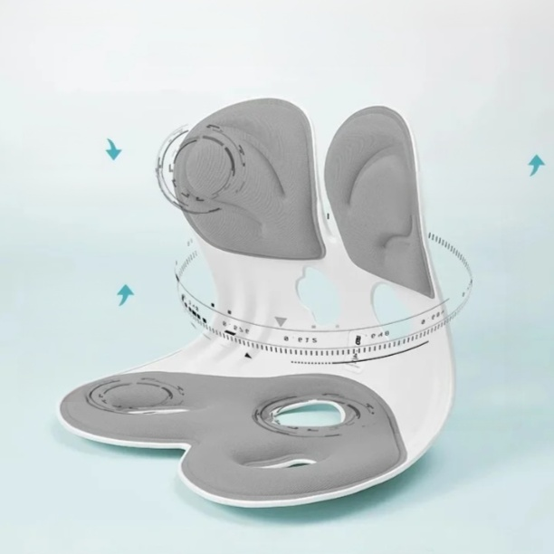 ที่รองรับเอวและเบาะรองหลัง