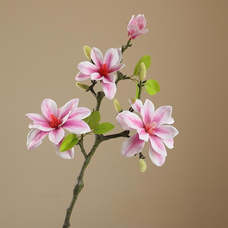 Magnolia artificiel