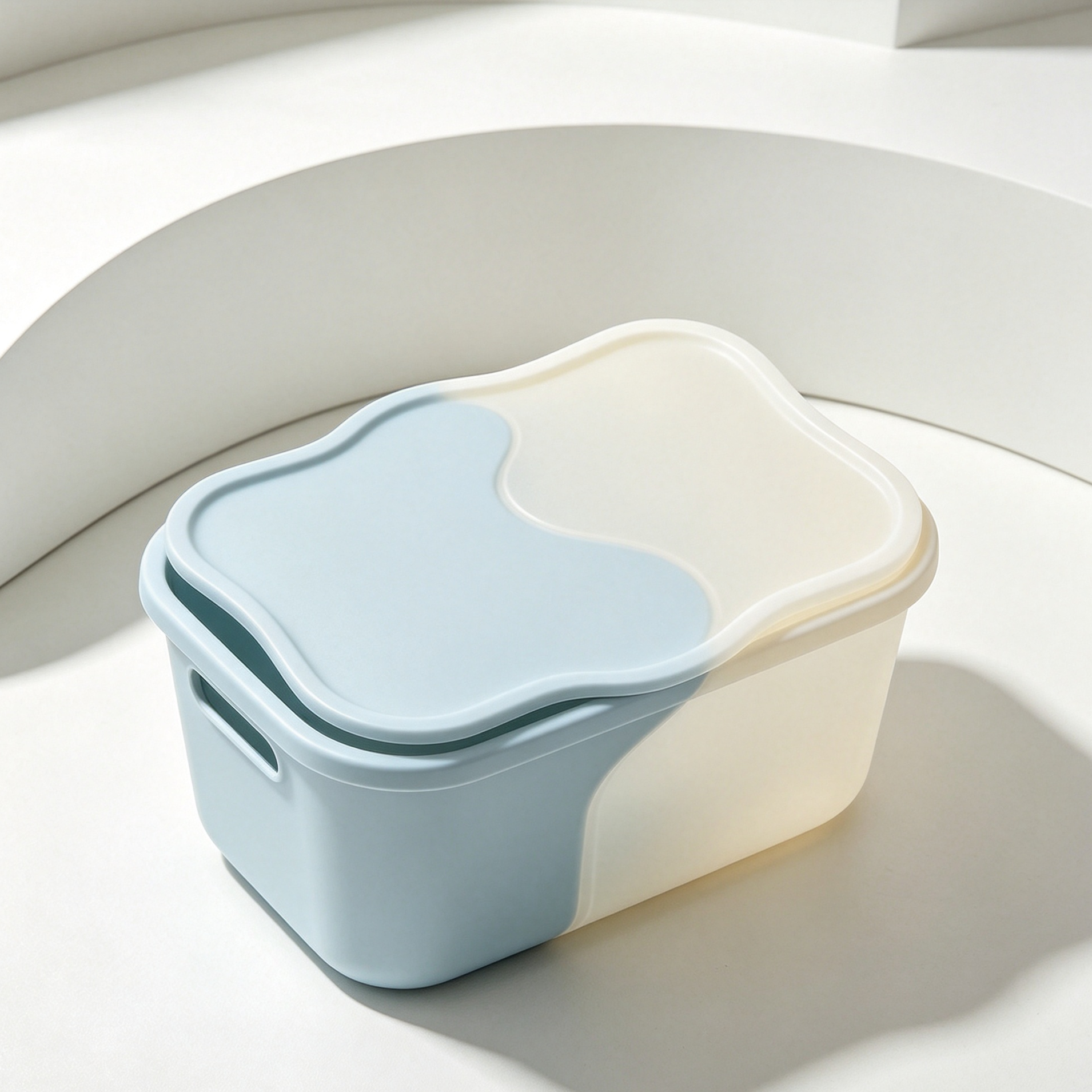 Plastic storage boxes (5 pieces)