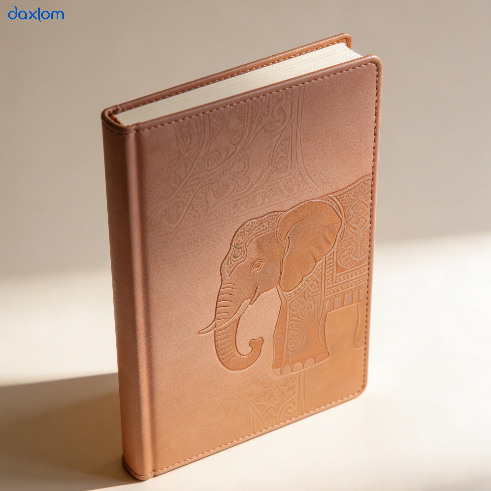 สมุดโน้ตหนังสุดหรู (แพ็ค 10 เล่ม)