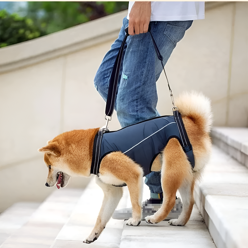 Dog Support Harness for Senior Dogs