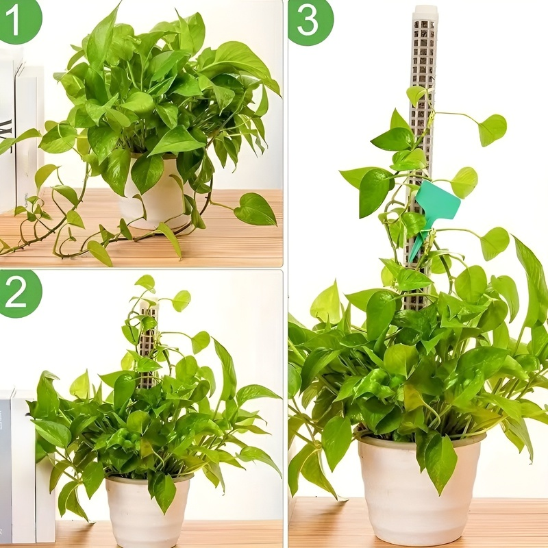 Plastik Wasser Moss Säule Moss Säule verbindbar Moss Stäbe Kokosbraun Stäbe