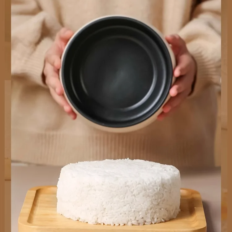 Mini Compact Rice Cooker