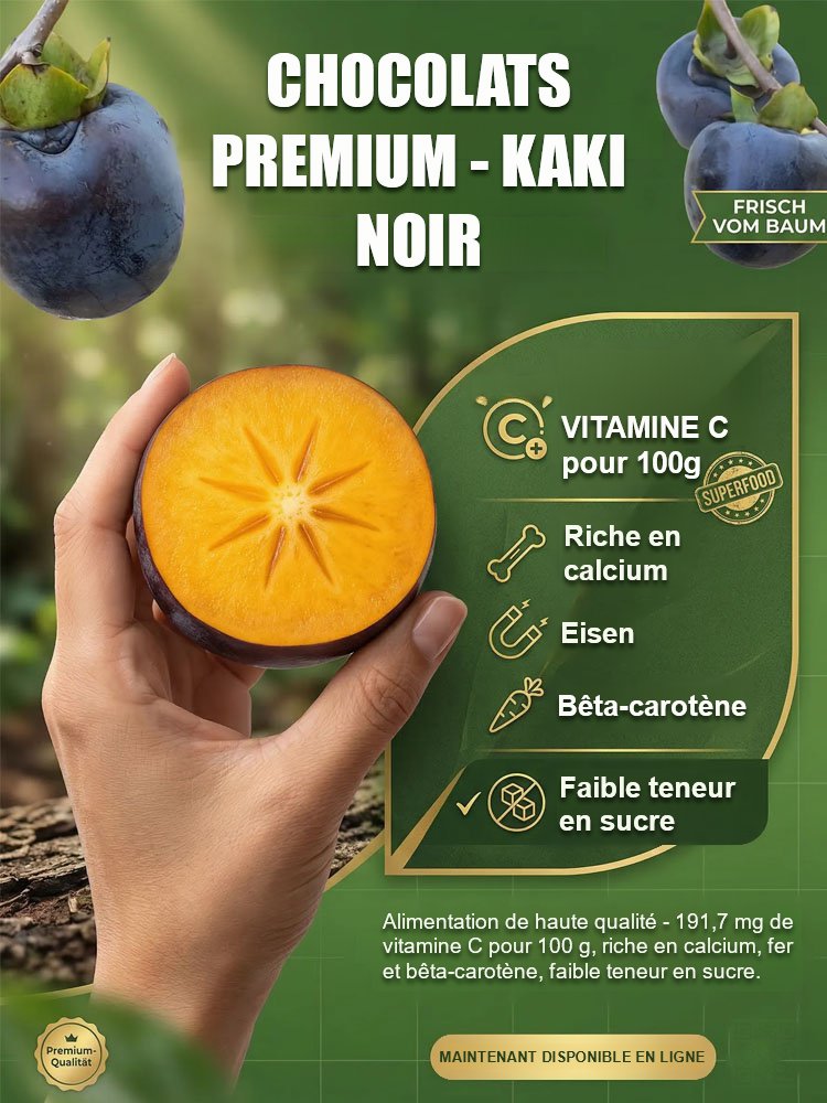 Plant de kaki 'Perle Noire Chocolat' résistant au froid