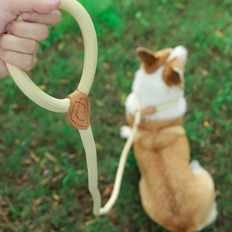 반려동물 방폭 충격 리드줄 야외 내구성 목 보호