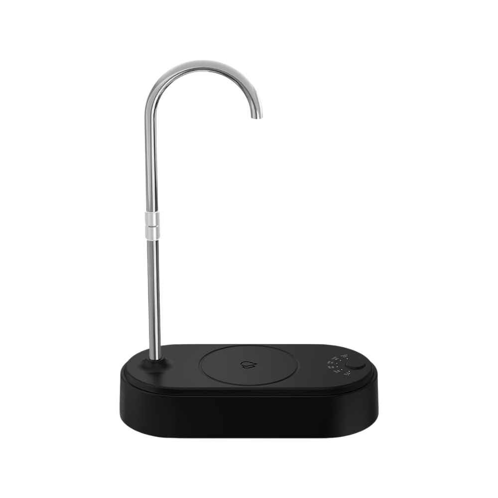 Household portable water pump