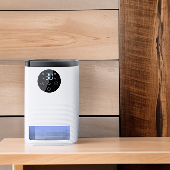 Kleiner tragbarer Luftentfeuchter für Schlafzimmer und Keller im Haushalt