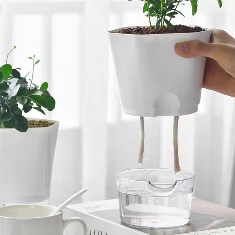 Minimalistischer selbstbewässernder Blumentopf für den Innenbereich