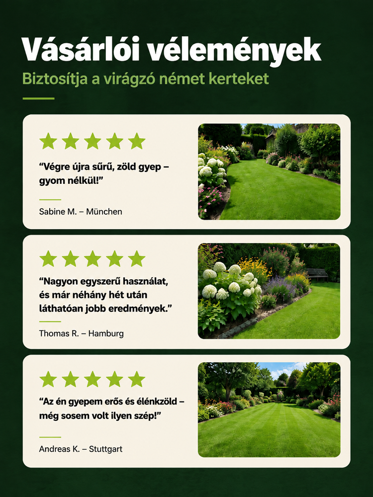 Részletes kép 2.png