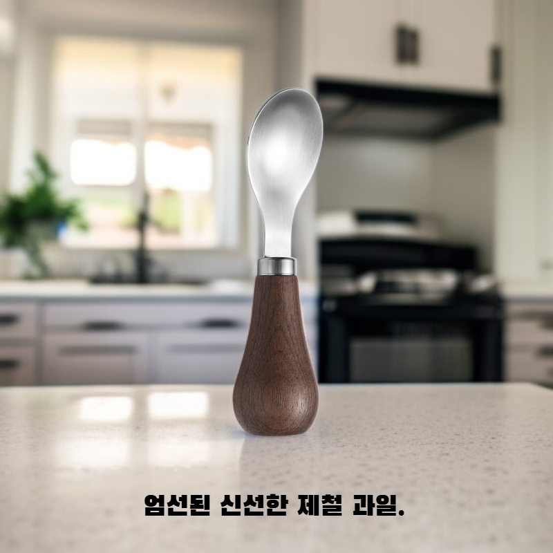 과일 도시락 박스