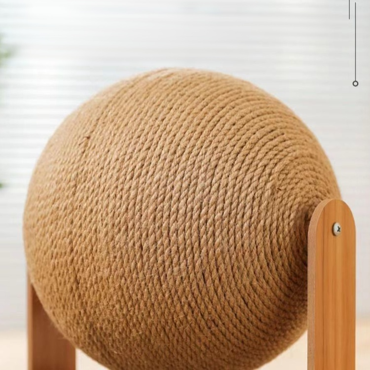 ยืนขึ้นแมว Scratch บอล