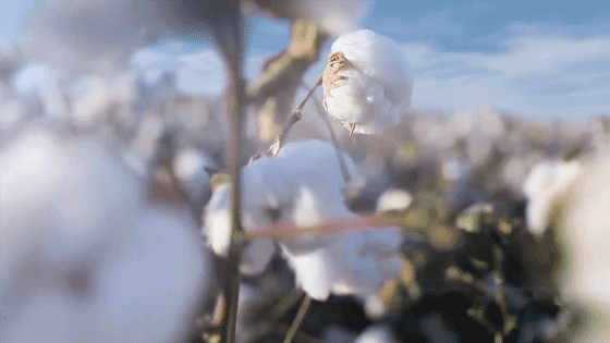 b8538e884f5cdb62ca1989690a4de3da.gif