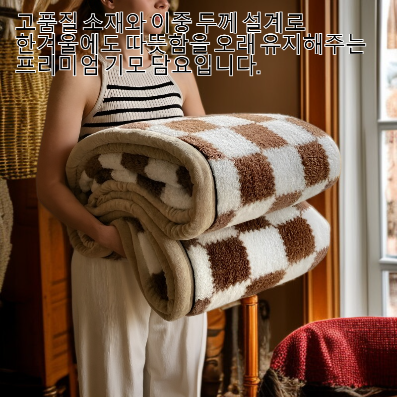 고품질 이중 두꺼운 기모 담요