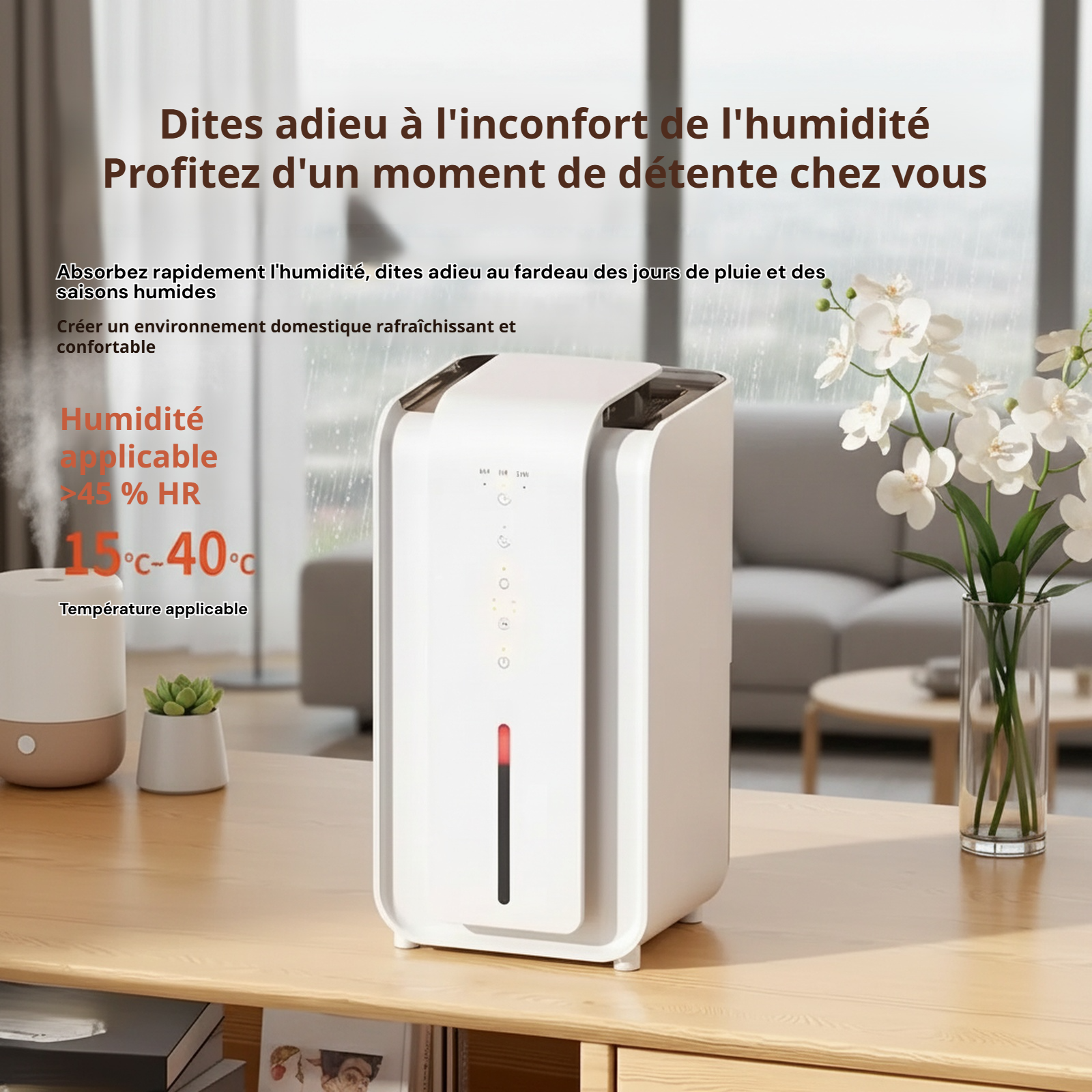 Déshumidificateur domestique mini pour chambre, anti-humidité intérieur