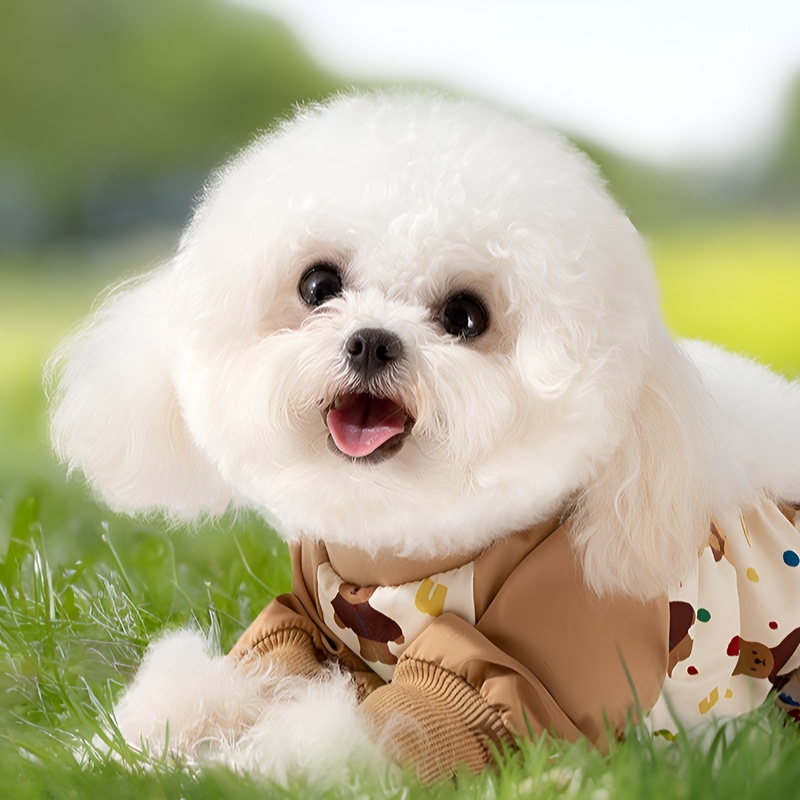 小中型犬プリントの防塵パンツ