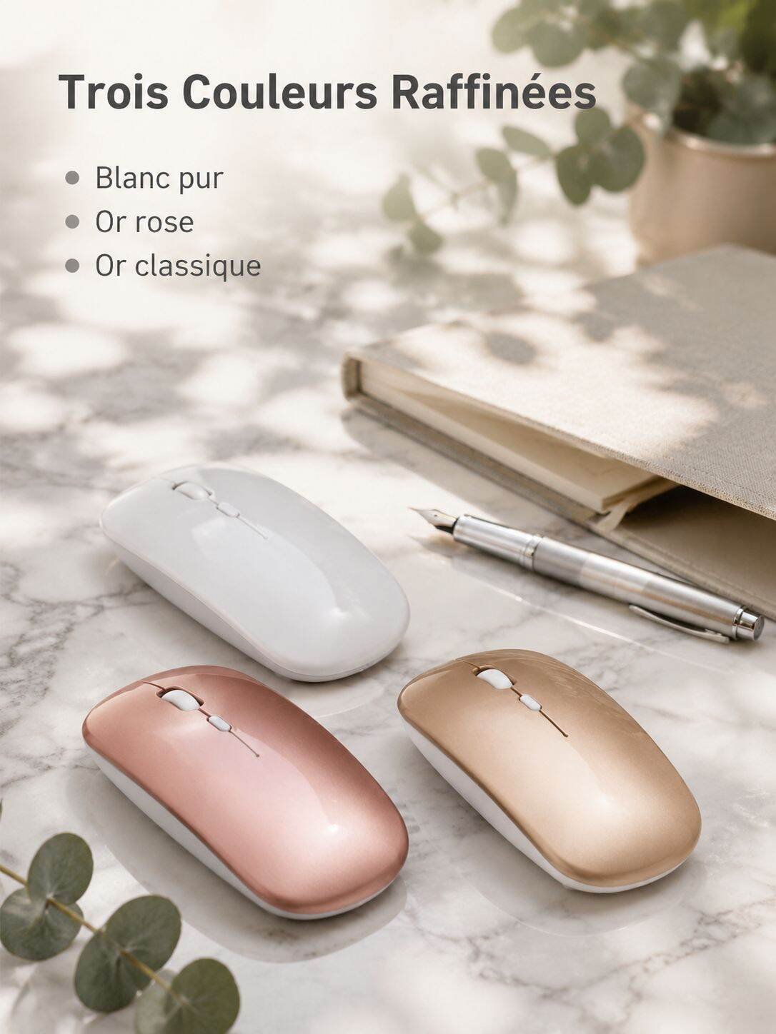 Souris sans fil silencieuse et élégante
