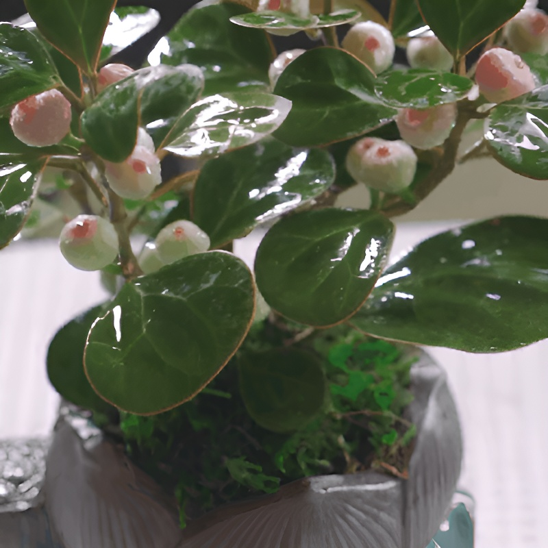 Cultivate oneself and cultivate one's character with Bodhi seedlings