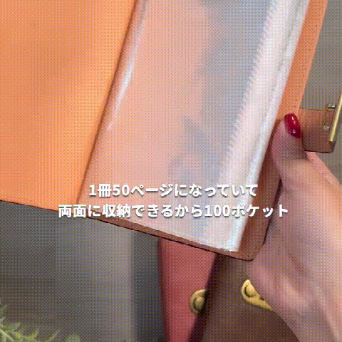 ワニ革風合いの紙幣収納ブック