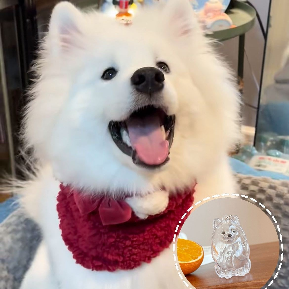 Porte-clés avec pendentif chien, boîte transparente pour poils d'animaux