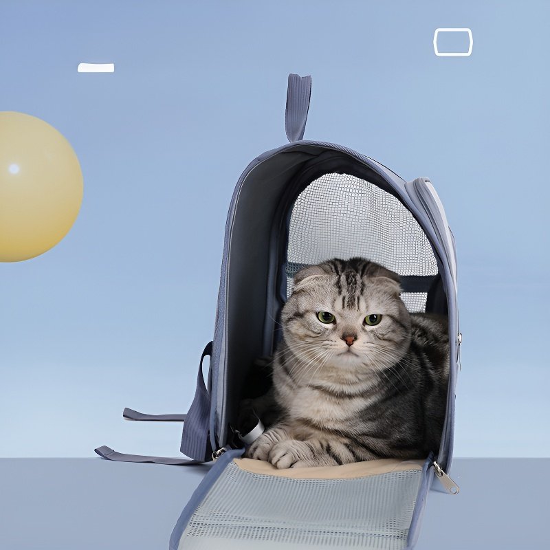 sac de transport pour chat et chien