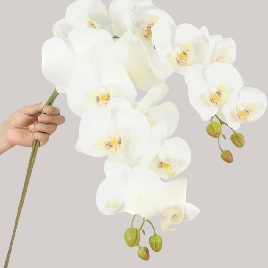 ตุ๊กตาดอกกล้วยไม้ฟาแลนนอปซิสประดับบ้าน