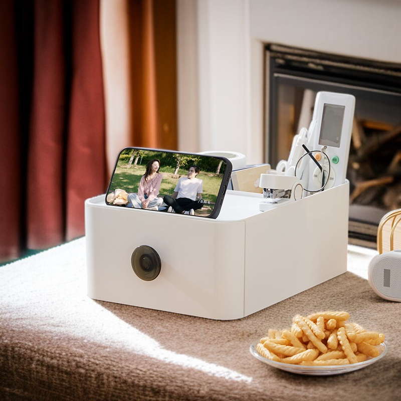 Duży pojemnik do przechowywania z przegródkami