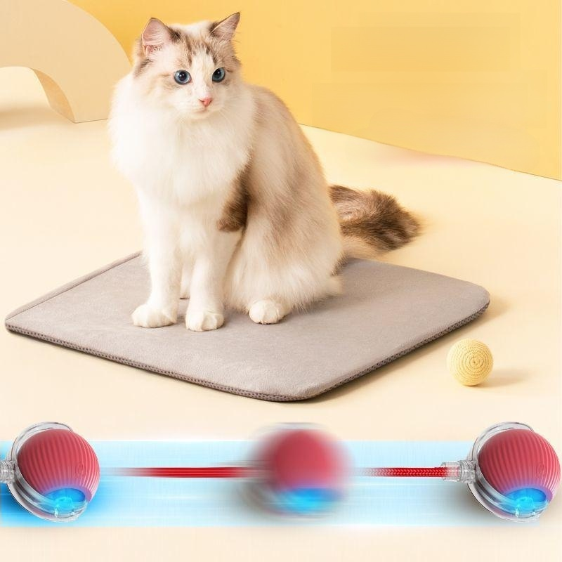 Intelligent electric pet teasing ball