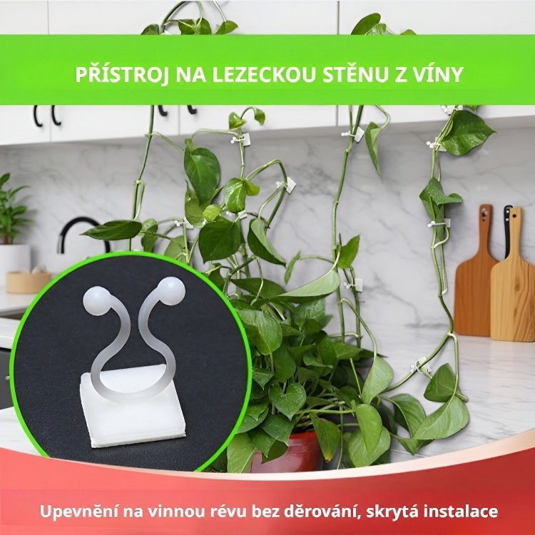 Držák na upevnění popínavých rostlin na zeď