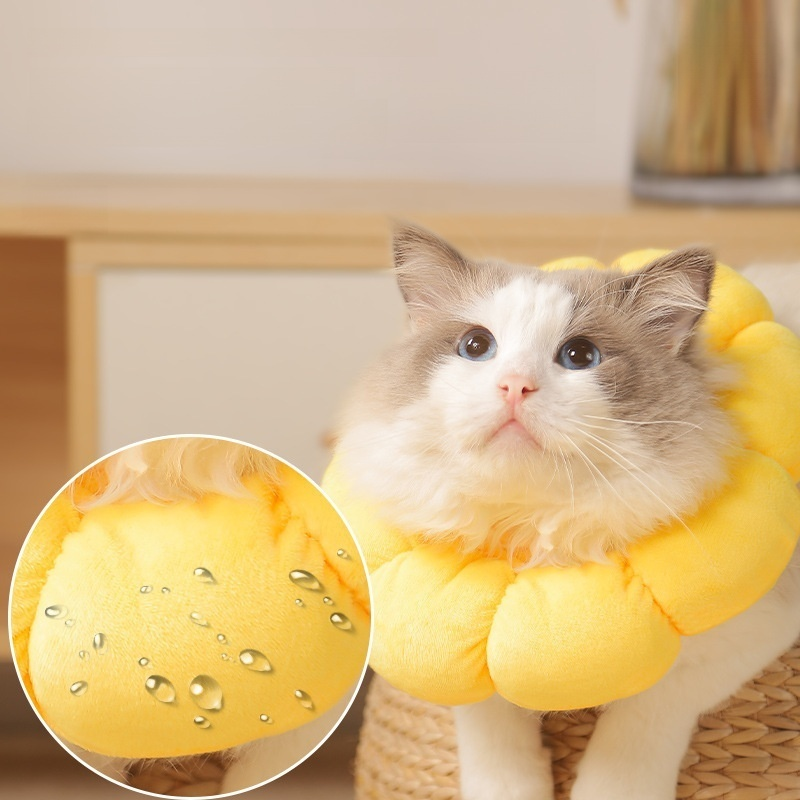 엘리자베스 펫 목걸이