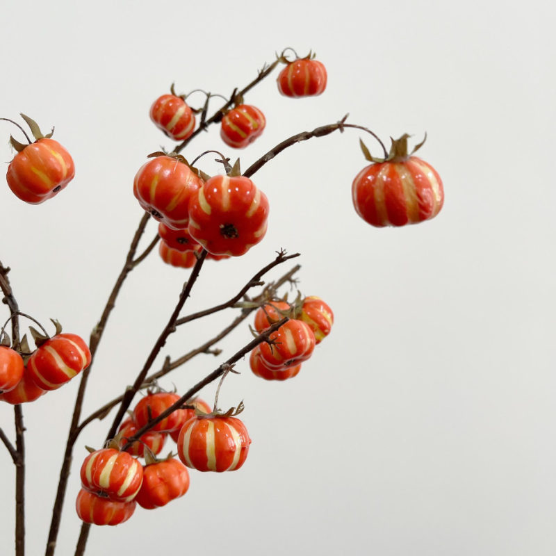 Citrouille aux fruits simulés
