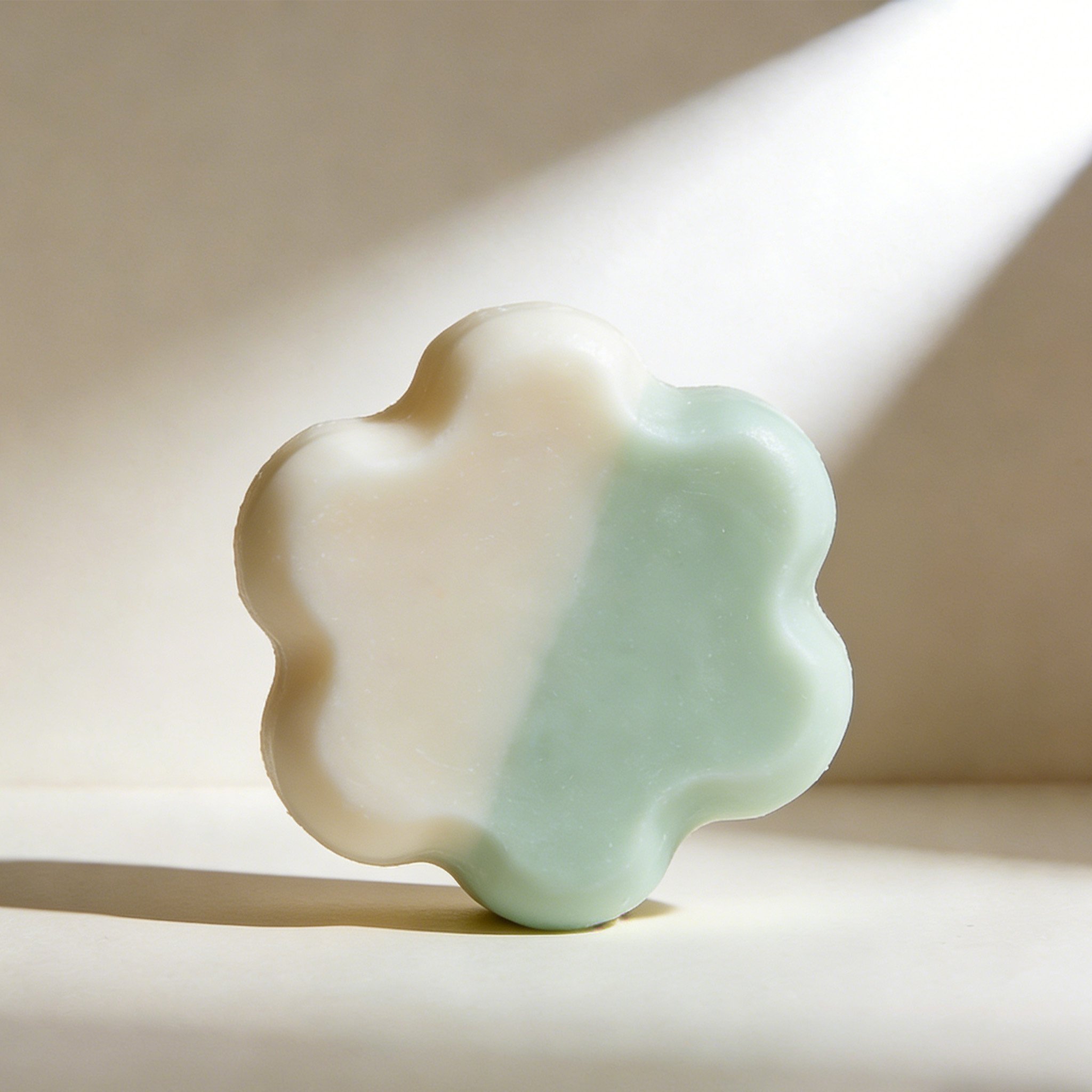 クリーンソープ10個入り