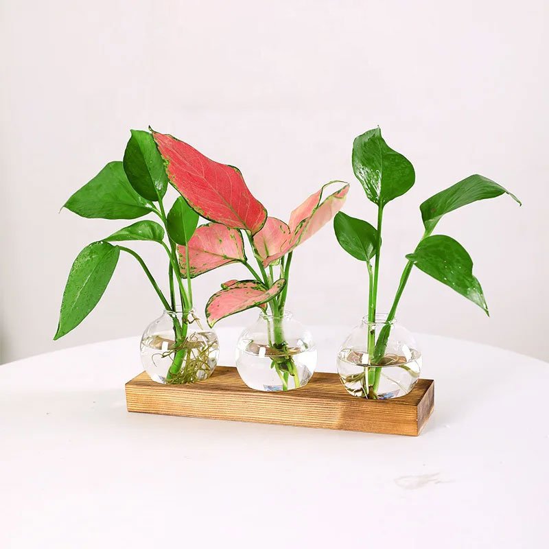 木組み付き3ガラスバルブ花瓶ガラス容器