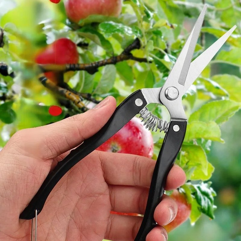 ステンレス製の滑り止め付き剪定鋏