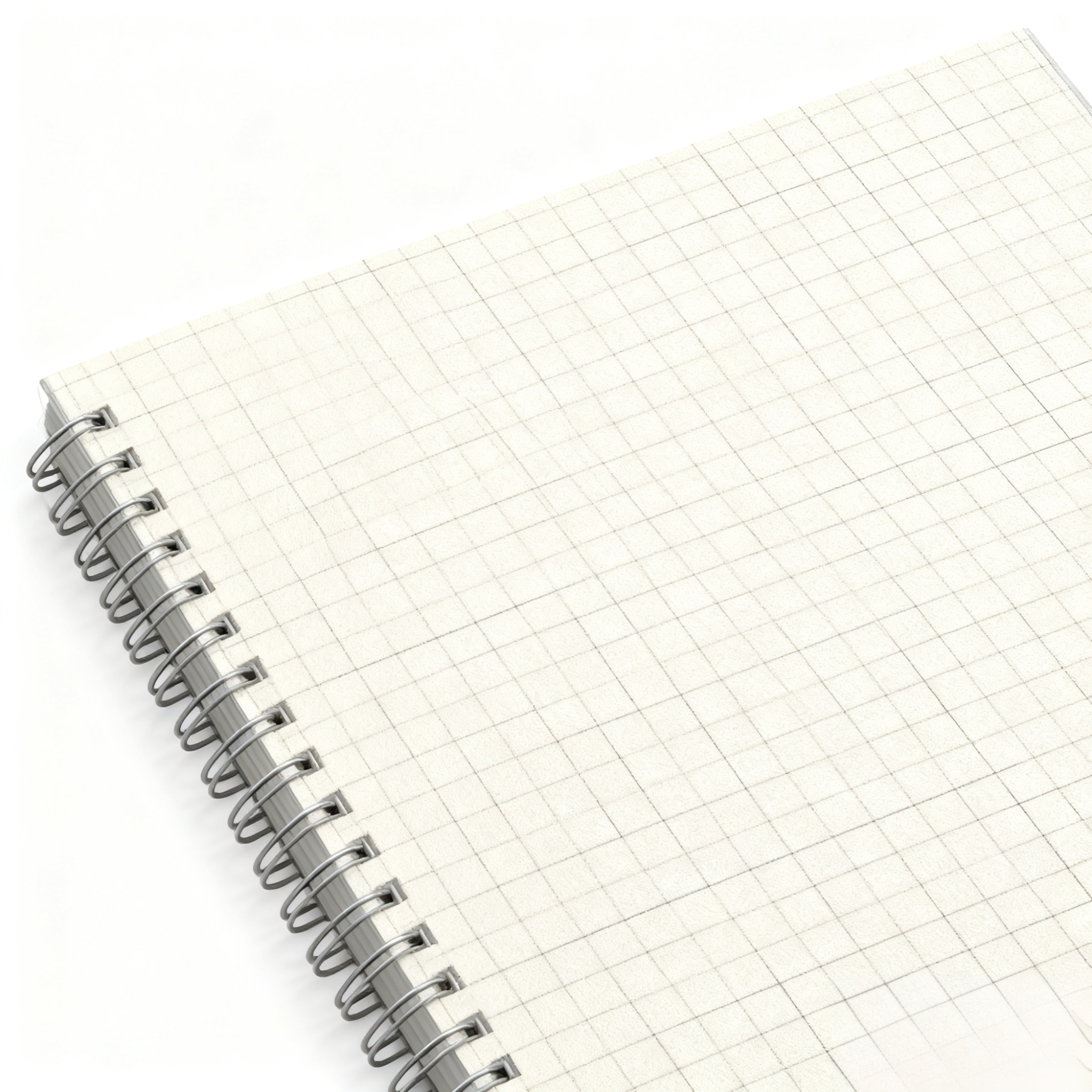 Detalle de hojas cuadriculadas en cuaderno extraíble