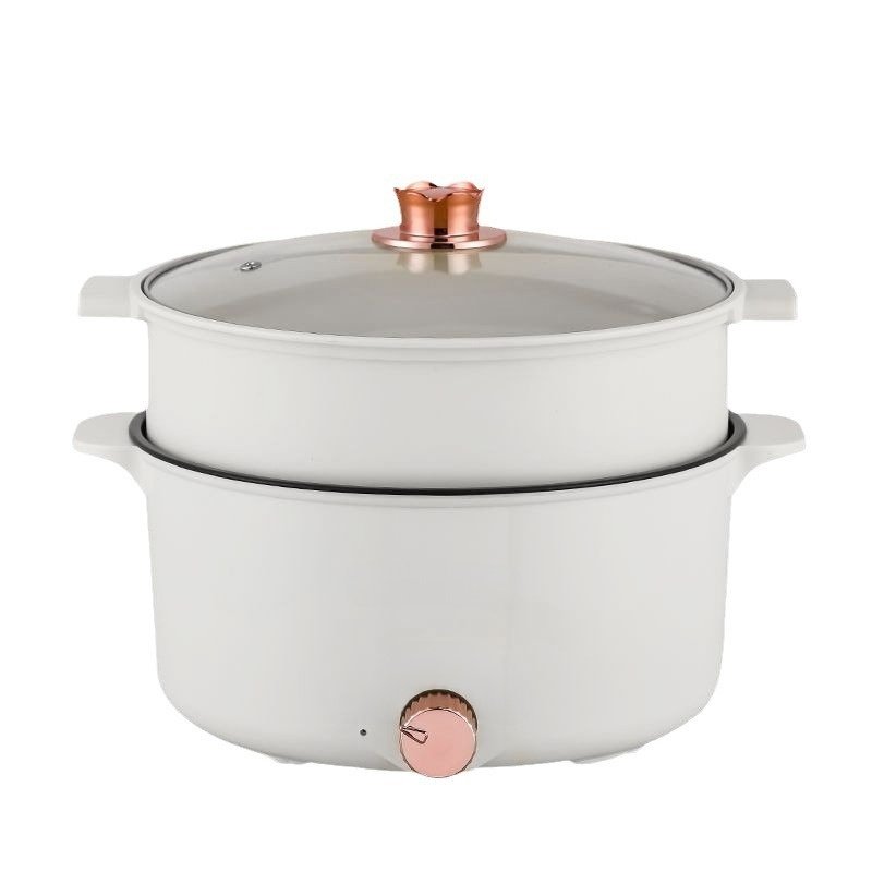Portable Multi-use Cooker