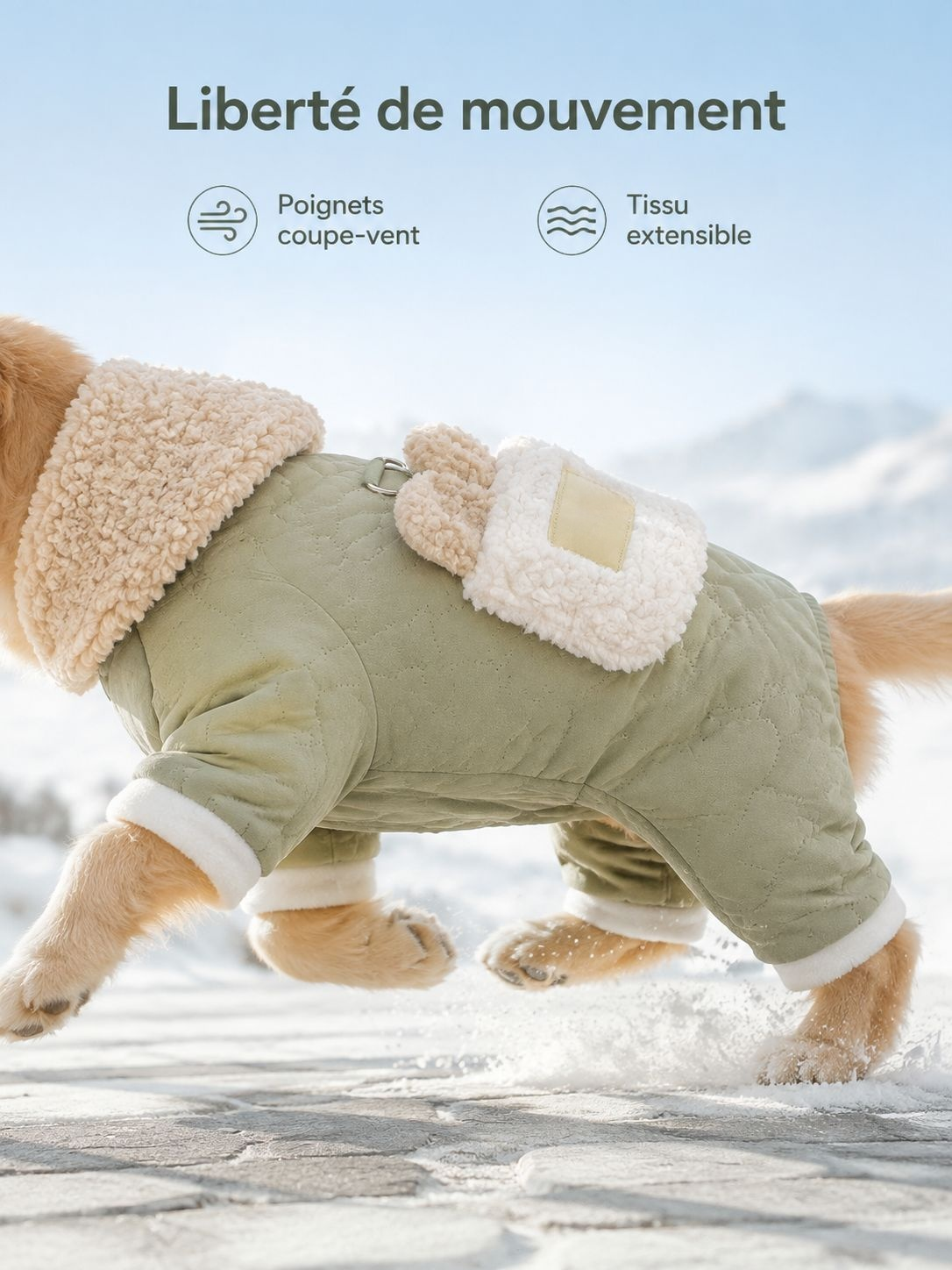Détail du tissu en coton épais du manteau Giipet pour animaux