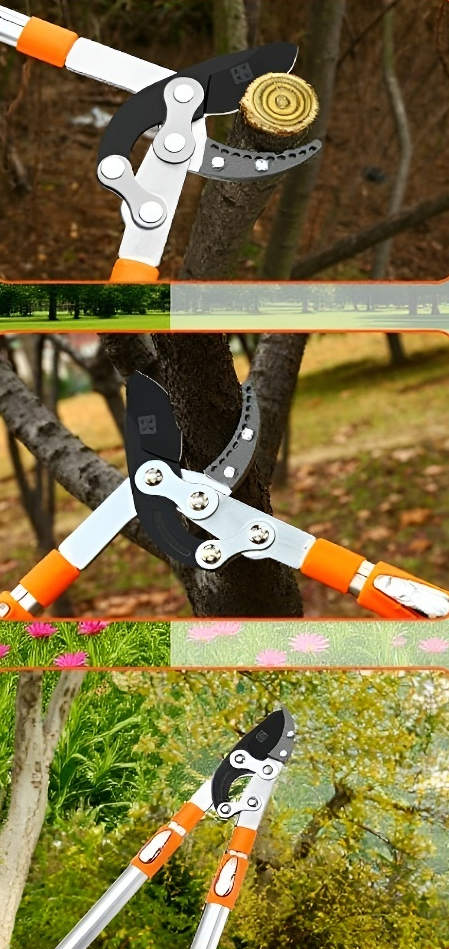 Detalle del mango extensible de tijeras de jardín