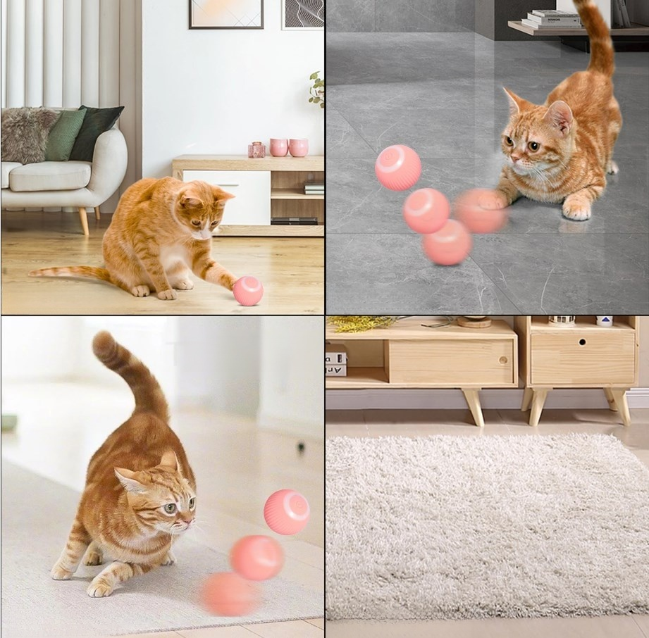 고양이 공 장난감