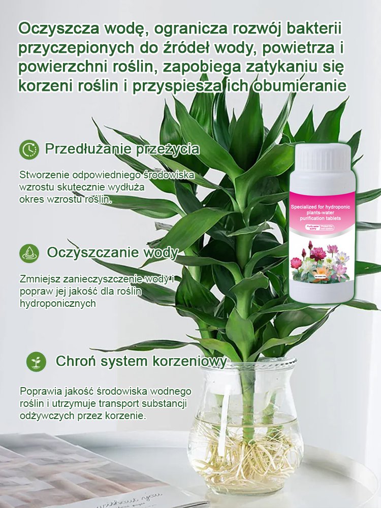 Specjalne tabletki odżywcze do hydroponicznych roślin oczyszczających