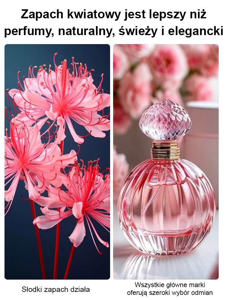 Całorocznie kwitnąca, mrozoodporna i odporna na upały cebulka Lycoris (kwiat tęsknoty)