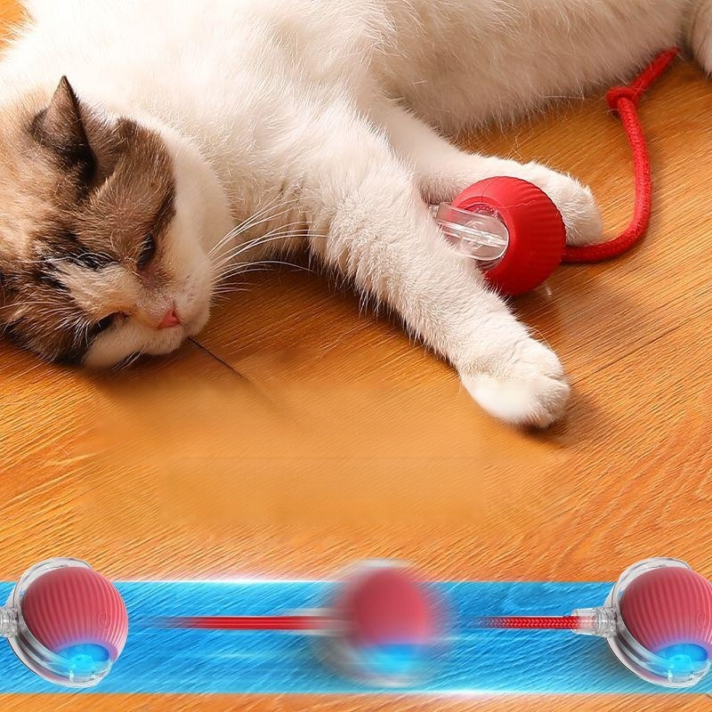 Intelligent electric pet teasing ball