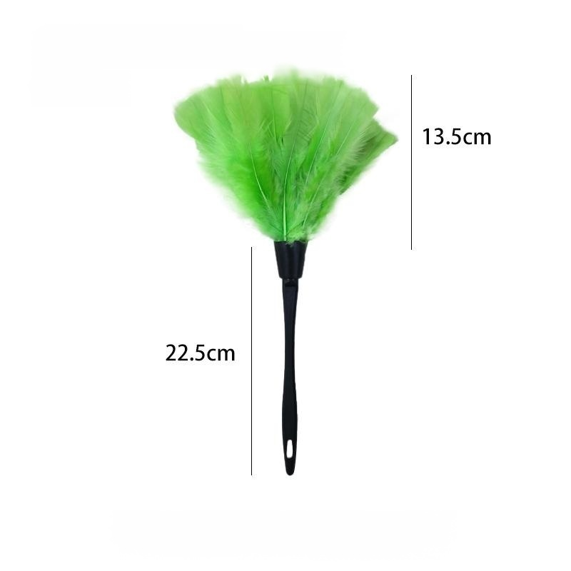 Staubwedel aus Straußenfedern